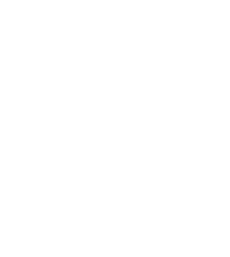 escassolution